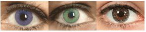 LENS 55 TORIC COLOR  1PK